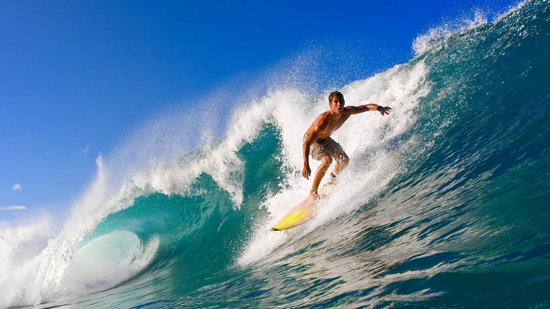 大学生体育社团赛事活跃,校园体育文化兴盛,大学体育社团活动