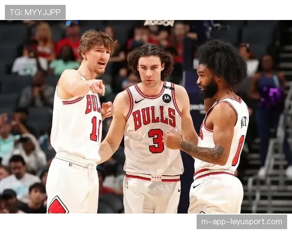 公牛队迎来关键胜利，冲刺季后赛，公牛队比赛